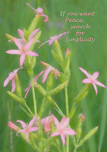 "Seek Simplicity" Print and Card Set