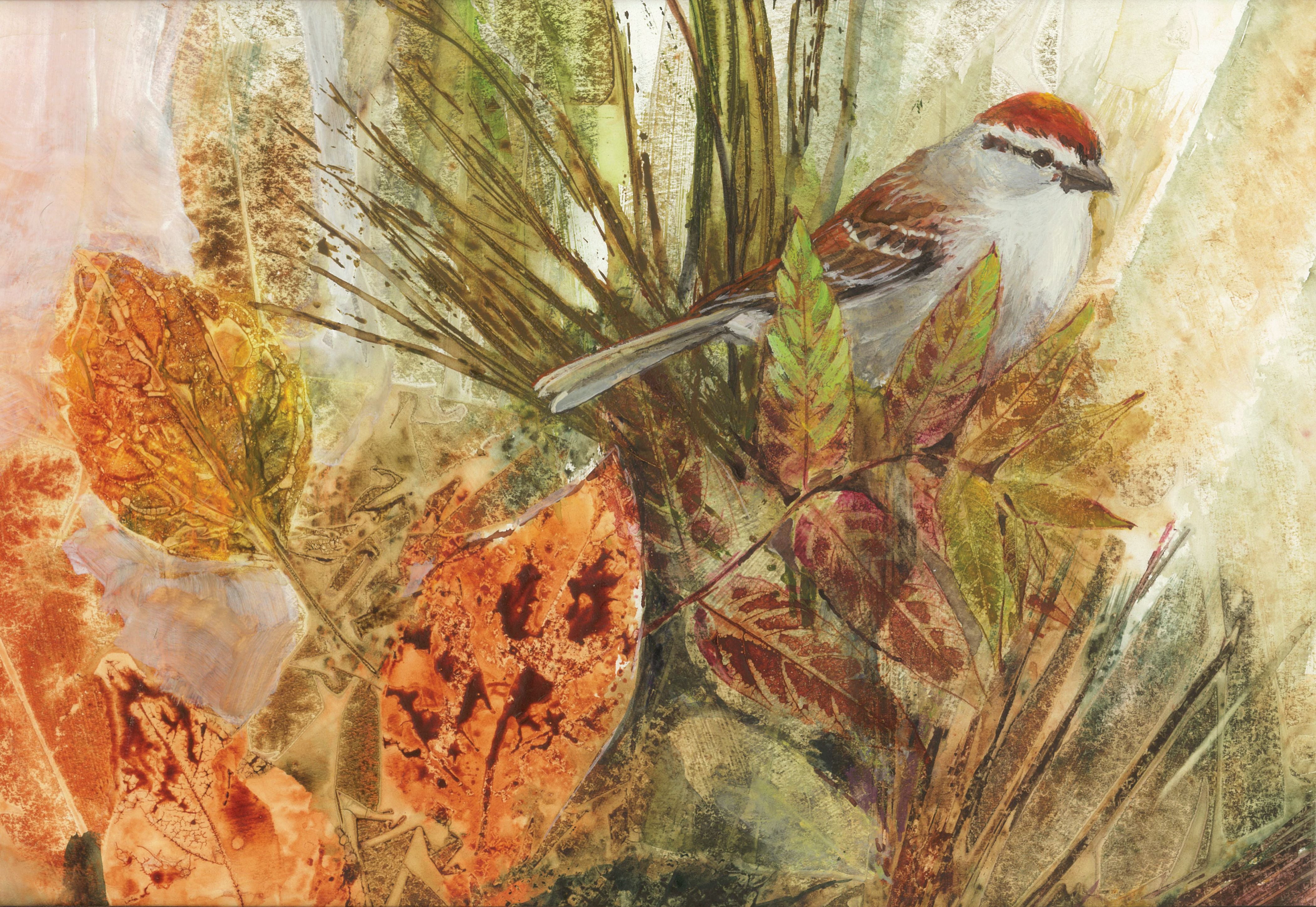 Chipping Sparrow Environment